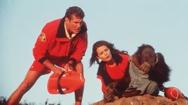 Pobřežní hlídka I (4/21)