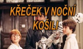 Škrečok v nočnej košeli (3)