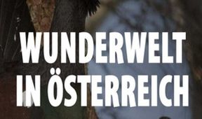 Universum: Život v "Mŕtvom pohorí"
