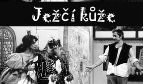 Ježčí kůže