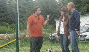 Der Hundeprofi