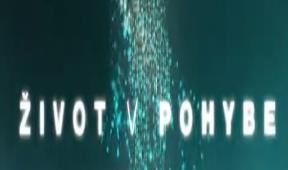 Život v pohybe