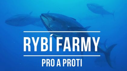 Rybí farmy - pro a proti