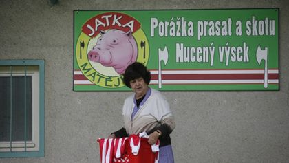 Okresní přebor (16)
