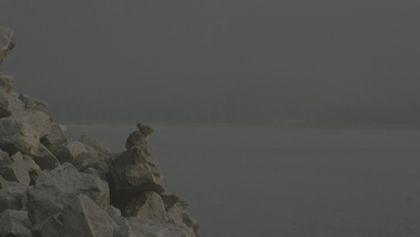 Rok na Planetě (4)