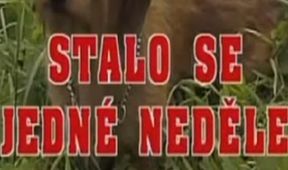 Stalo se jedné neděle
