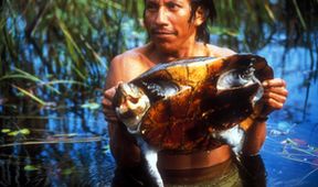 Amazonie (3)