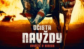 Očista navždy