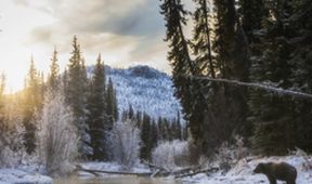 Velké řeky světa II - Yukon, Zázračná planeta