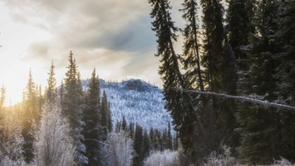 Velké řeky světa II - Yukon, Zázračná planeta