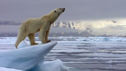David Attenborough: Lov (3)