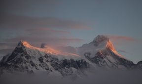 Divoké Chile (2)