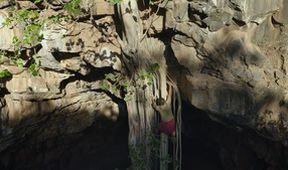 Umění přežít: Africké safari (3)