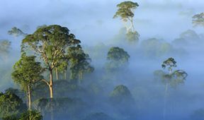 Borneo - prastarý ostrov