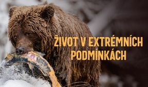 Život v extrémních podmínkách (2/3)