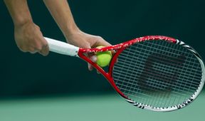 Tenis na vozíku 2024, Tenis