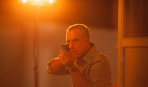 Bosch V (7/10)