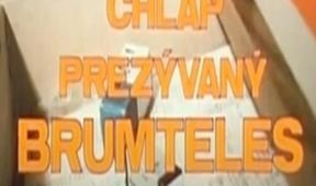 Chlap prezývaný Brumteles