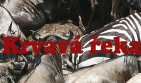 Krvavá řeka
