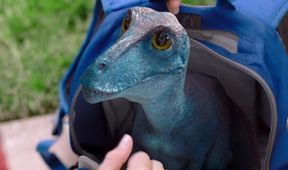 Můj kamarád dinosaurus 2