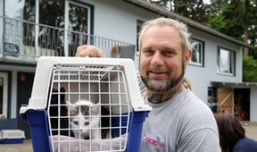 Harte Hunde - Ralf Seeger greift ein