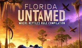 Nespoutaná Florida: Království plazů (1)