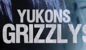 Medvědům grizzly tváří v tvář