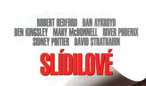 Slídilové