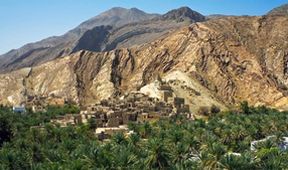 Oasis