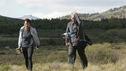 The Amazing Race XXXV (10)