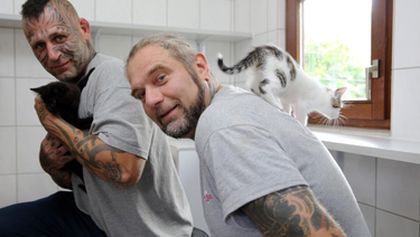 Harte Hunde - Ralf Seeger greift ein
