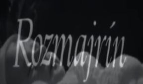 Rozmajrín