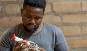 Záchrana divokých zvířat v Malawi II (1)