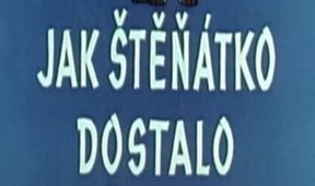 Jak štěňátko dostalo chuť na med