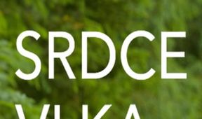 Srdce vlka