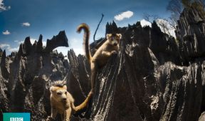 Madagaskar (Zjavenia Panny Márie v Anosivolakely)