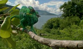 Madagaskar (Zjavenia Panny Márie v Anosivolakely)