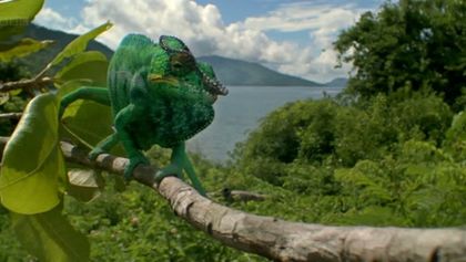 Madagaskar (Zjavenia Panny Márie v Anosivolakely)