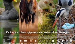Natura w Jedynce - Dzika Praga