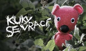 Kuky se vrací