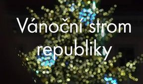Vánoční strom republiky