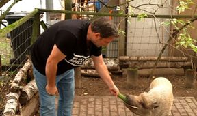 Martin Rütters Tierheimhelden