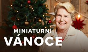 Miniaturní Vánoce