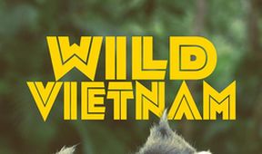 Divoký Vietnam (2)