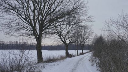 Pochody smrti, Mezinárodní den památky obětí holocaustu