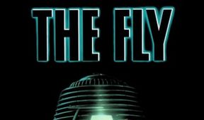 Die Fliege