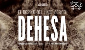 Dehesa: Les rysa iberského