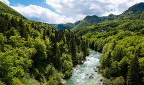 Velké řeky světa II - Dunaj, Zázračná planeta