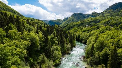 Velké řeky světa II - Dunaj, Zázračná planeta