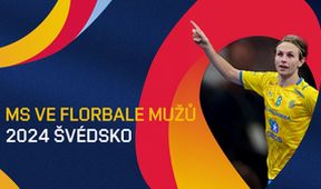 MS ve florbalu mužů 2024 Švédsko, Florbal